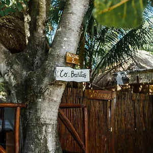 Eco Banitas Hotel